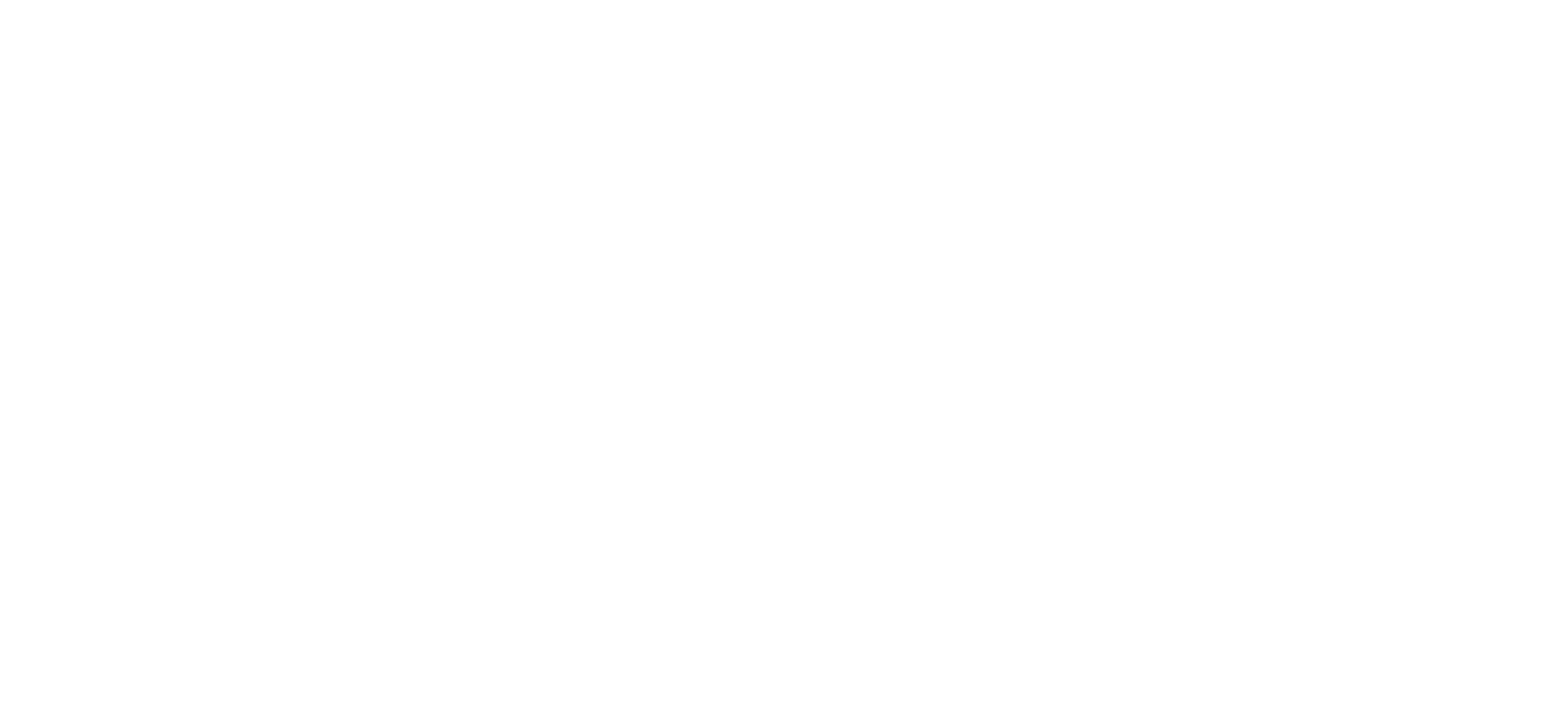 Practical Martial Arts Marin logo